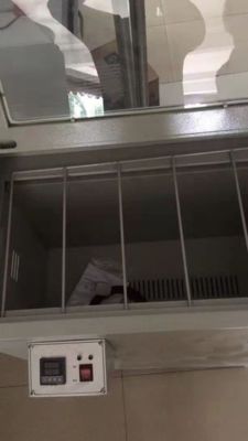 HDG-200C Verre-infrarood Film Droogoven 220V 2000W