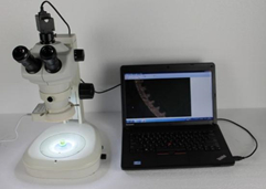 Digitale stereoscopische microscoop HSM-645S met 3MP camera